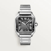 Santos de Cartier watch